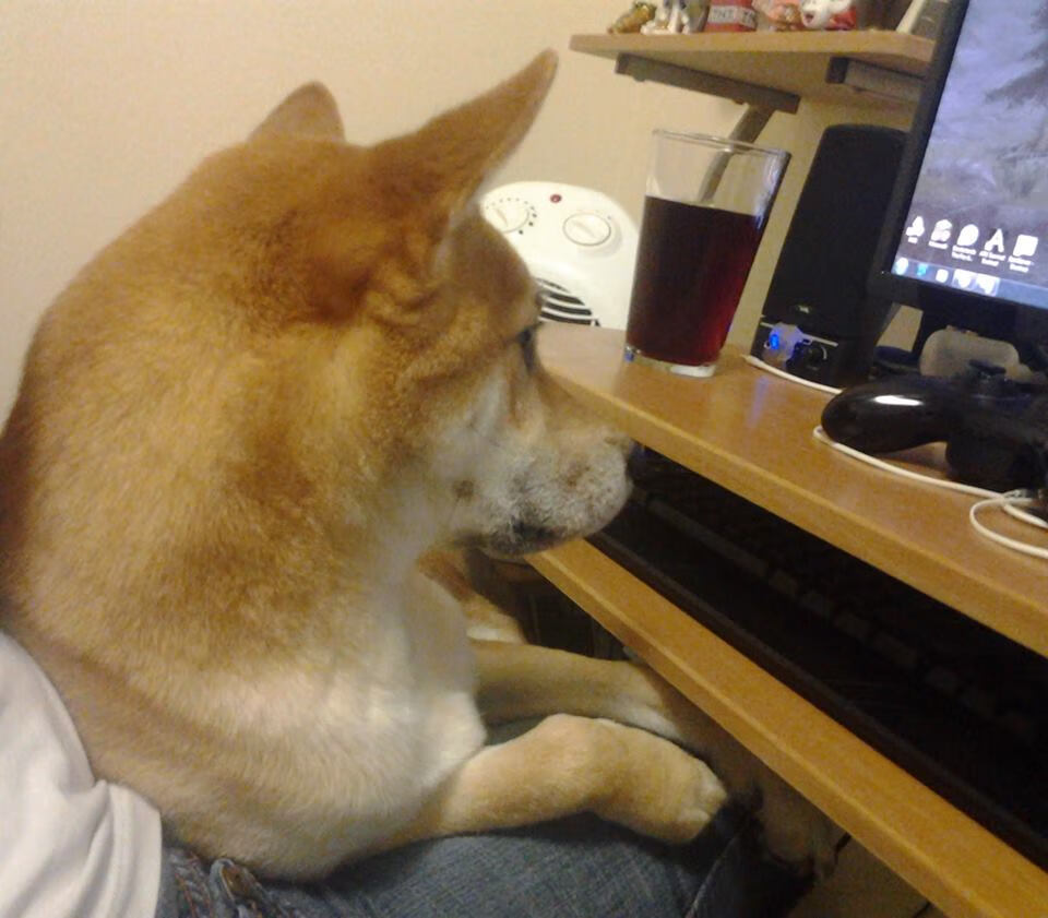 法甲新赛季评分体系引入,比赛更公平公平,法甲2020_2021赛季积分