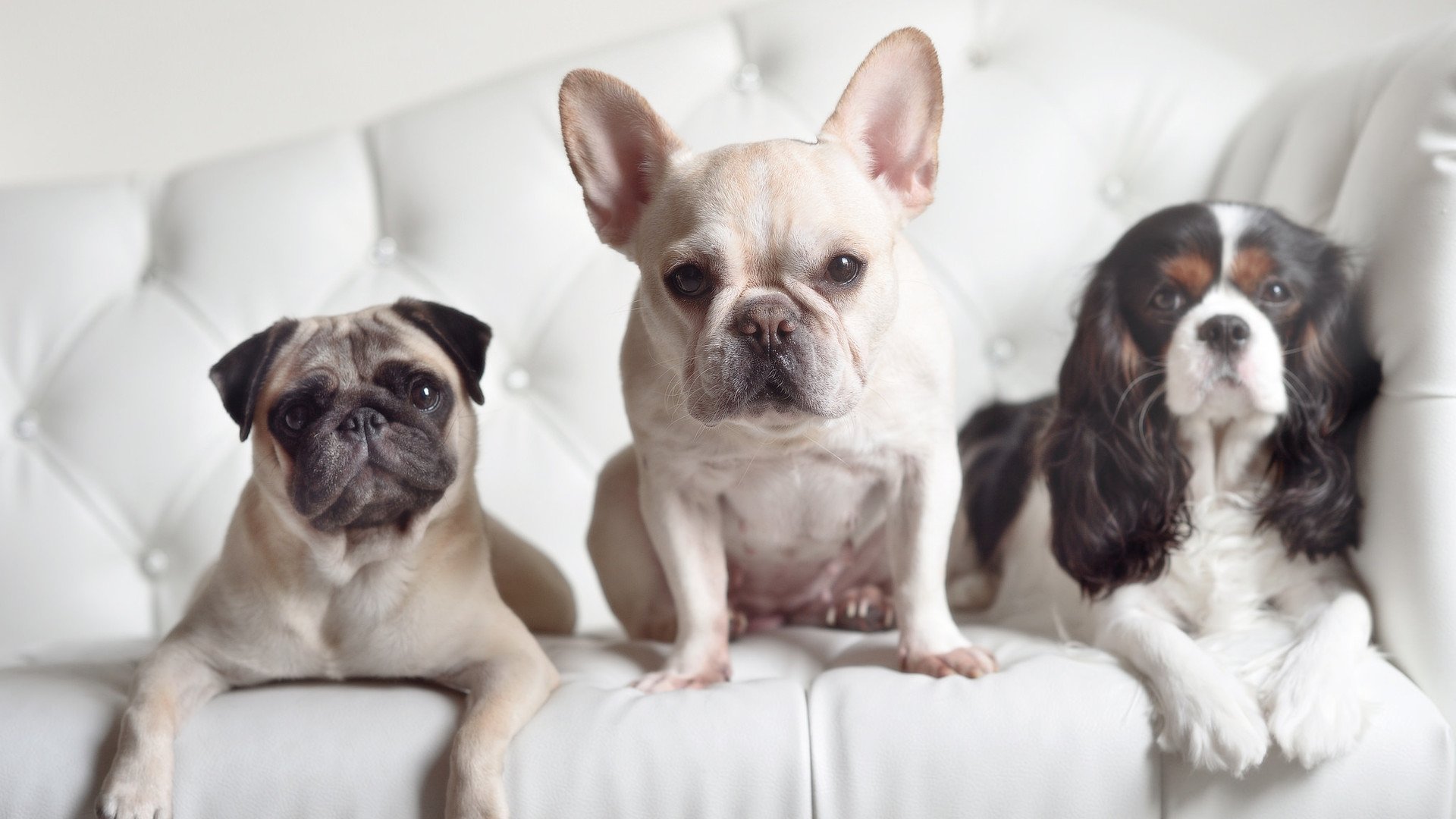 赛场外的温馨：球迷与球员的感人互动故事，球迷感言