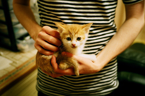 赛场上的“奇迹之夜”，哪些欧冠比赛令人难忘？，欧冠冠军之路