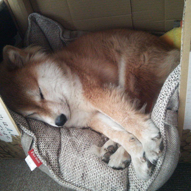 爱游戏APP-青少年裁判员能力提升工程在全国范围内全面铺开，青少年锦标赛年龄限制