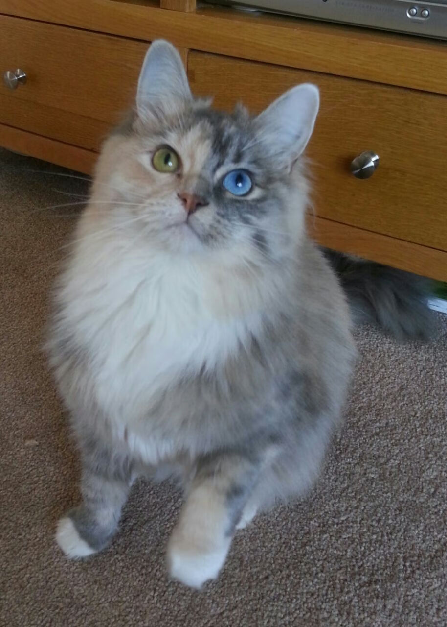 RB莱比锡客场战平，暂时保持稳定，rb莱比锡主场球衣