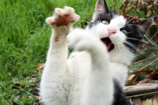 俱乐部联赛在国际舞台上展现实力，俱乐部联赛英文