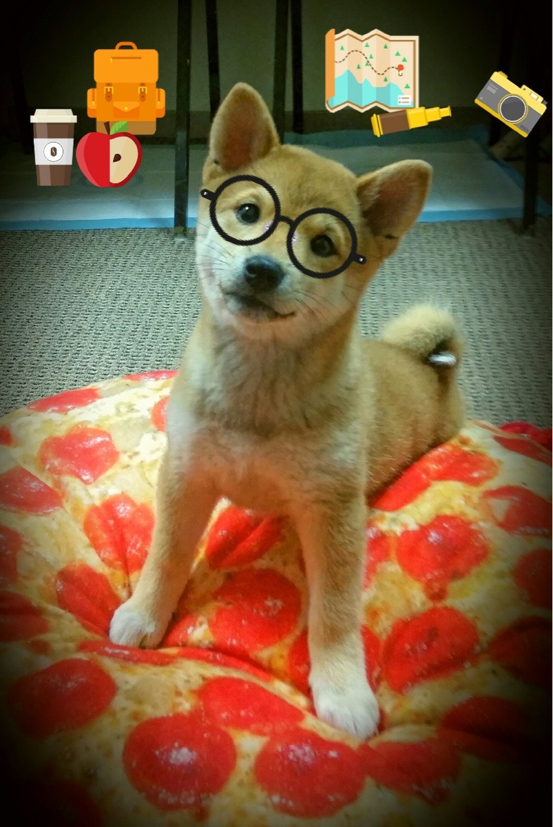 北京国安中场球员发挥关键作用，北京国安的中场