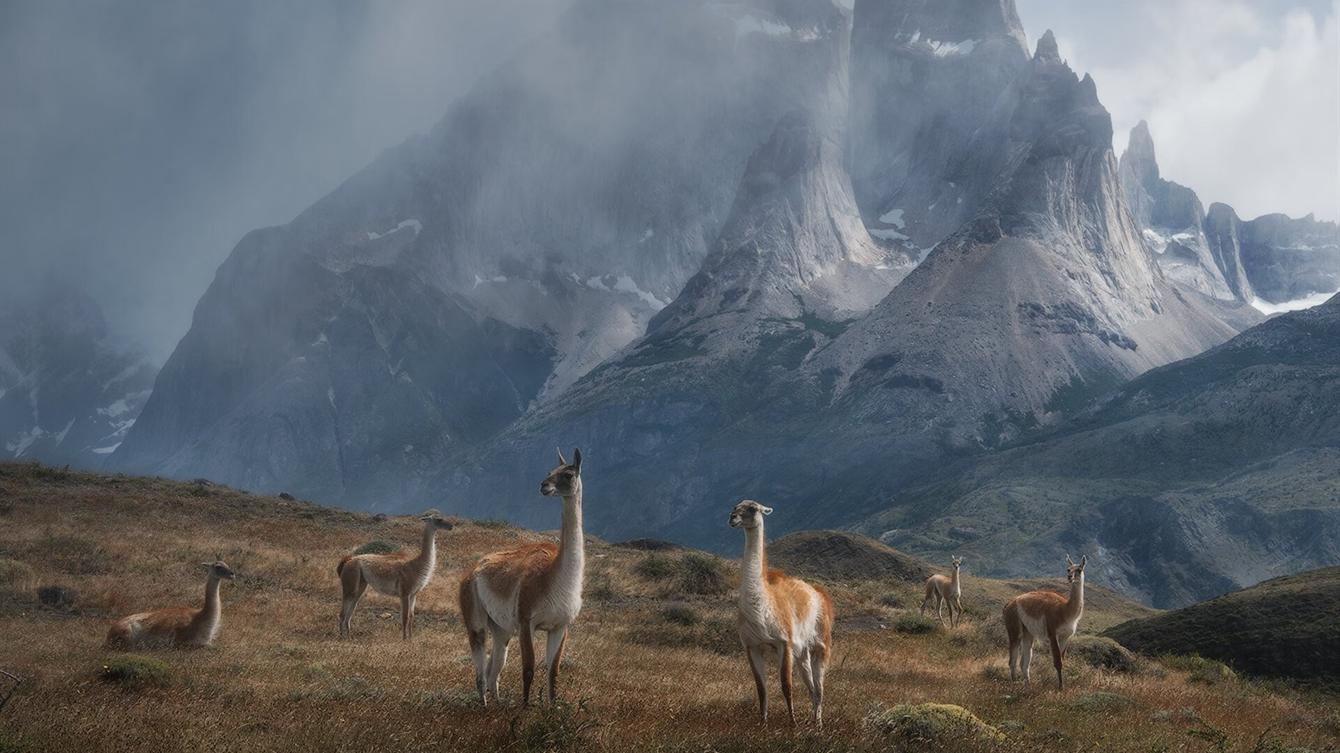 爱游戏-德国队展现实力，强势进军下一轮，德国 队