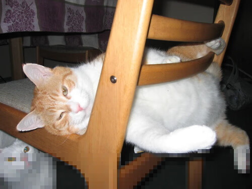 爱游戏网页版-中国篮球职业联赛市场营销策略分析与实践，篮球俱乐部市场营销计划