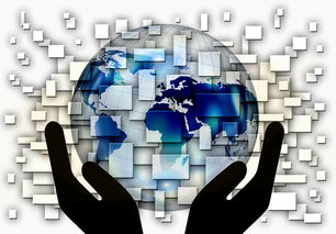 爱游戏娱乐平台-全国电子竞技公开赛上海收官，全国电子竞技大赛官网2020