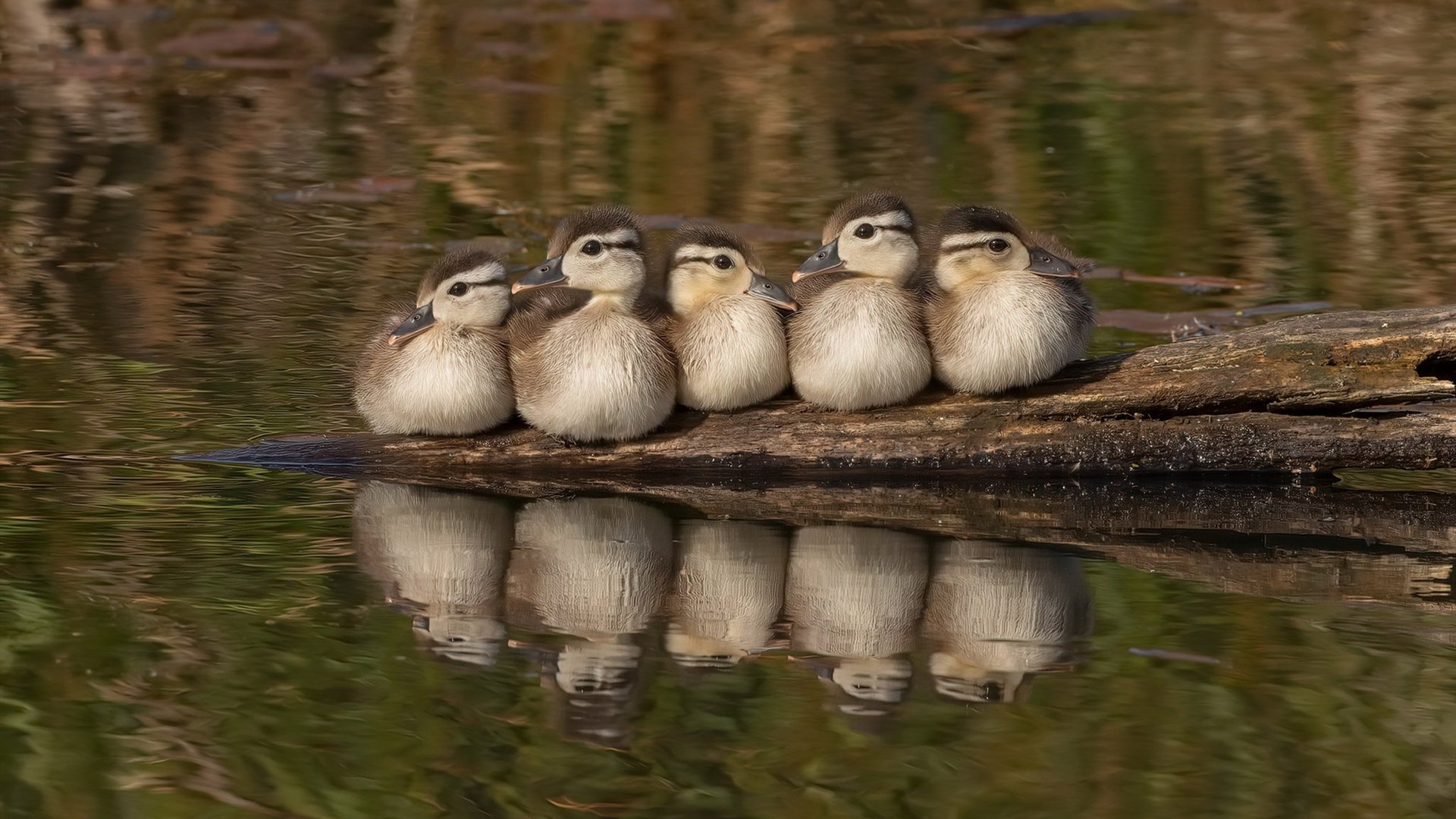 爱游戏APP-国足门前站位与拦截成功率关系，足球比赛开始前守门对方需要站在多少