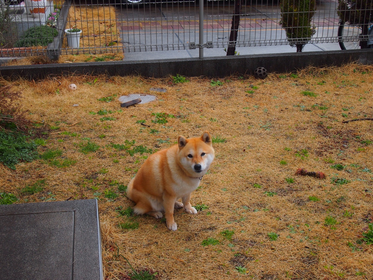 “东安湖体育公园:水上龙舟竞速,选手决战激流”