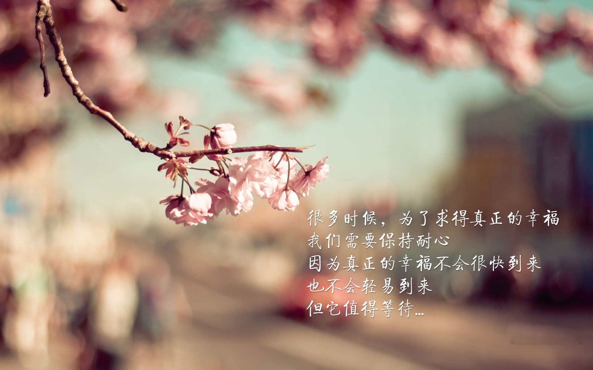 五大联赛奖金制度对球队竞争性的促进角色,五大联赛收益