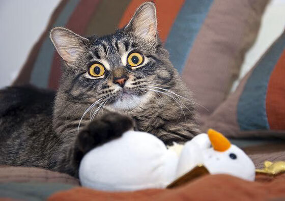 国际热身赛中国足球爆冷 球员状态需调整，国足敲定热身赛对手