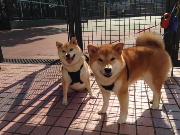 国际热身赛中国足球爆冷 球员状态需调整，国足敲定热身赛对手